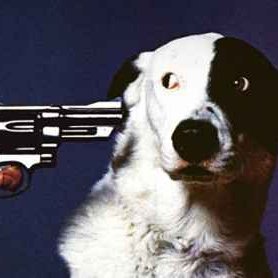 XX_ANGELMUTT_XX's profile picture