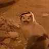 itz_mubark's profile picture