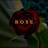 Rose_*Sigh*'s profile picture