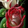 تذكير profil fotoğrafı