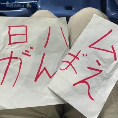 日ハムがんばえ's profile picture