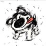 dong's profile picture