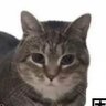 Profilbild von yuEshngshng