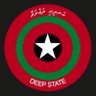 Profilbild von Deep State ✪ އަނދިރި ދައުލަތް 🇲🇻