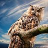 margareth ignatowska profil fotoğrafı