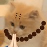 (♡⌂♡)麻袋套走（点赞仙人版） profil fotoğrafı