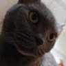 Profilbild von frank36