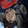 عبد ربه's profile picture