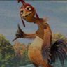 chickenjoe profil fotoğrafı