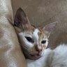 weasleys's profile picture