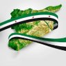 Ahmed JUma's profile picture