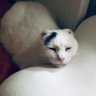 Katka's profile picture