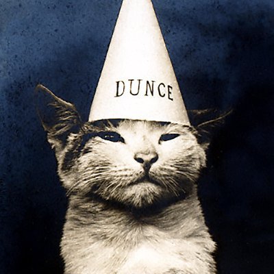 Simple's profile picture