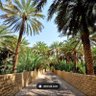ايمان 的头像