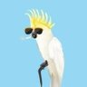 Gordon Gourd's profile picture