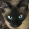 Profilbild von jaybird