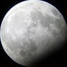 Profilbild von Luna