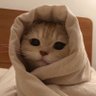 Profilbild von Good Morning!