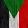 Profilbild von ابو سمره🇸🇩