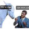 Profilbild von علي فياض