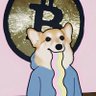 Фото профиля Crypto狗腿子