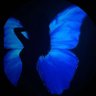 Фото профиля M.EMK🦋