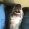 Slump.'s profile picture