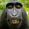 The Art of Satoshi's profile picture