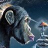 Profilbild von Monkey addicted to mushrooms!!!