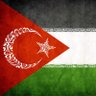Filistin Direnişi 🇹🇷🇵🇸☫🎒 的头像