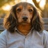 Profilbild von Whoosa Goodboy