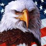 Profilbild von Frozen Patriot