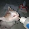. profil fotoğrafı