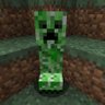 MinecraftNationalist 🌲 的头像