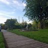 naiki profil fotoğrafı