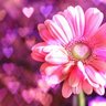 ☆おはる☆ 的头像