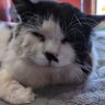 Фото профиля ハイクラおじさん