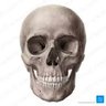 Lifeloatherr's profile picture
