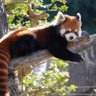 チチ・カカ's profile picture