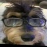 EJ's profile picture