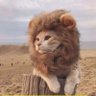 F H D's profile picture