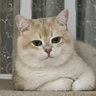 Profilbild von Jezza