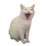 Profilbild von Puckiyu