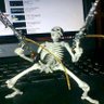 Фото профиля Skullz