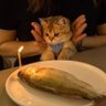 taty's profile picture
