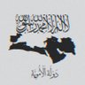 Profilbild von Taha Elshrif
