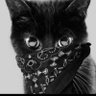 pedrocord profil fotoğrafı