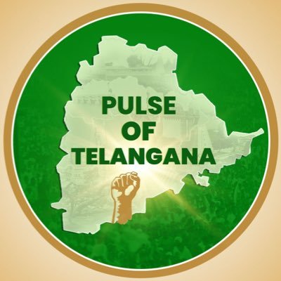 pulseoftelangan's profile picture