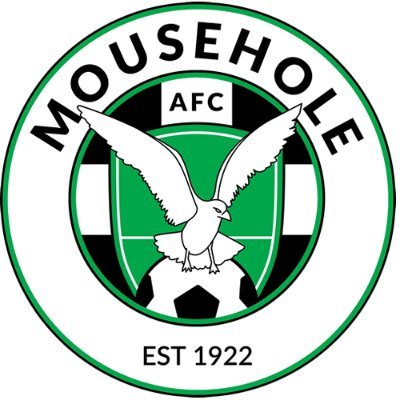 MouseholeAFC's profile picture
