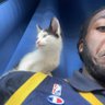 Meexhi's profile picture